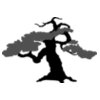 Bonsai Silhouette