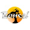 Bonsai Sun